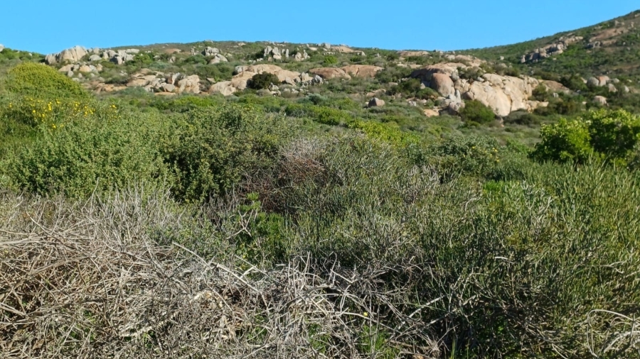 0 Bedroom Property for Sale in Steenbergs Cove Western Cape